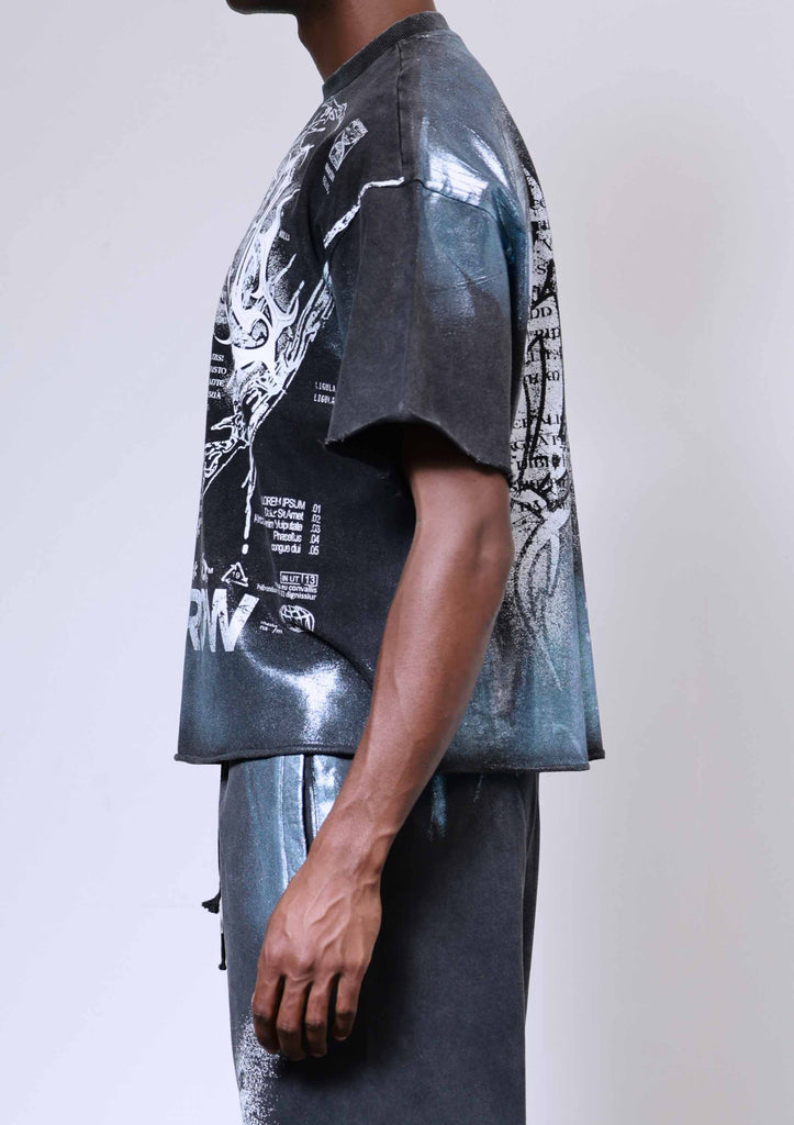 Y2K TRIBAL CROP TEE