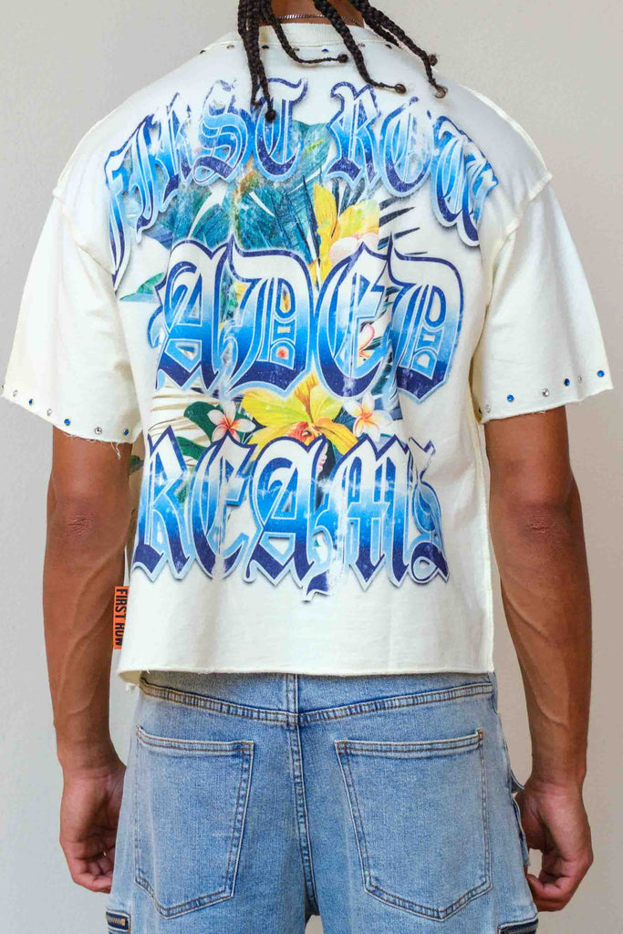 LOST UTOPIA FADED DREAM CROPPED TEE