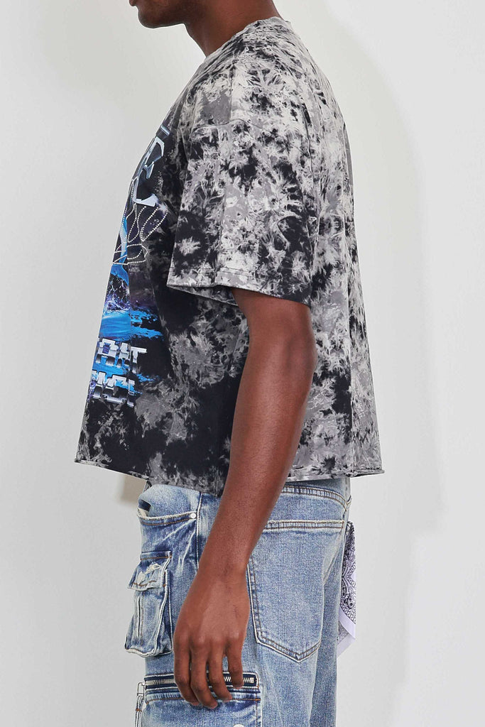 ART OF ESCAPE DOLPHINS CROPPED TEE