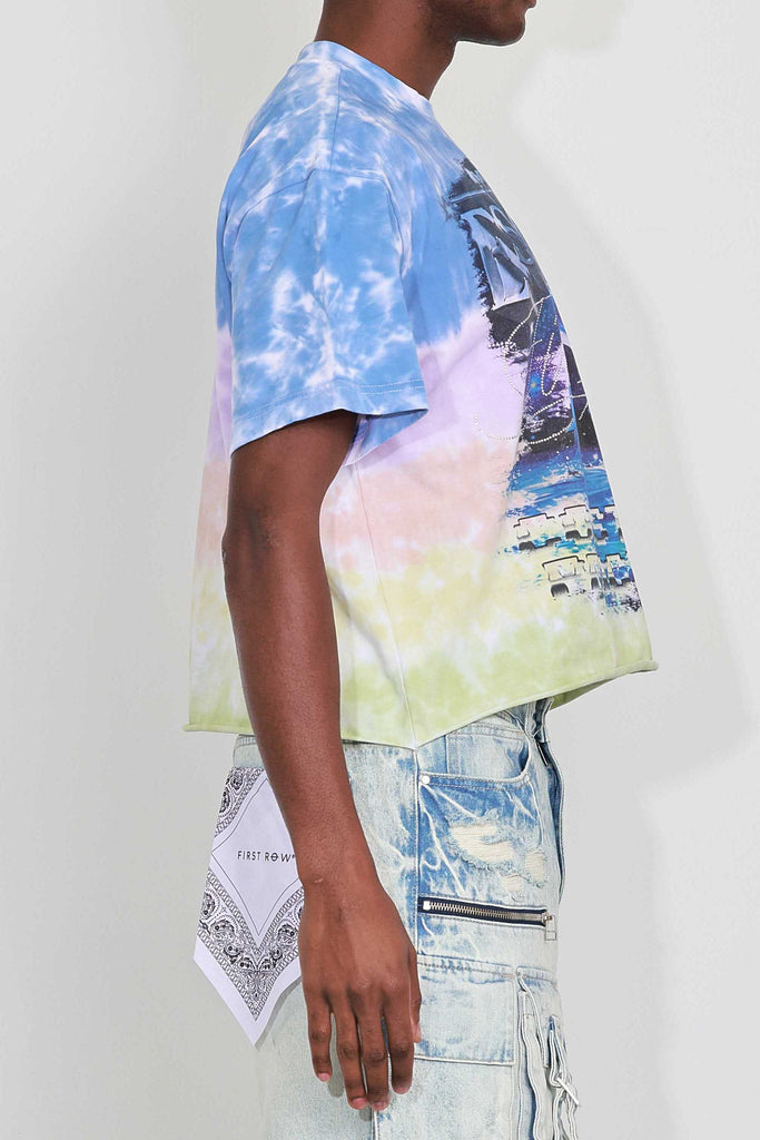 ART OF ESCAPE DOLPHINS CROPPED TEE