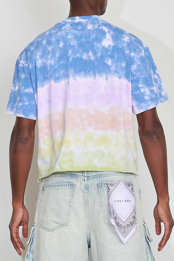 ART OF ESCAPE DOLPHINS CROPPED TEE