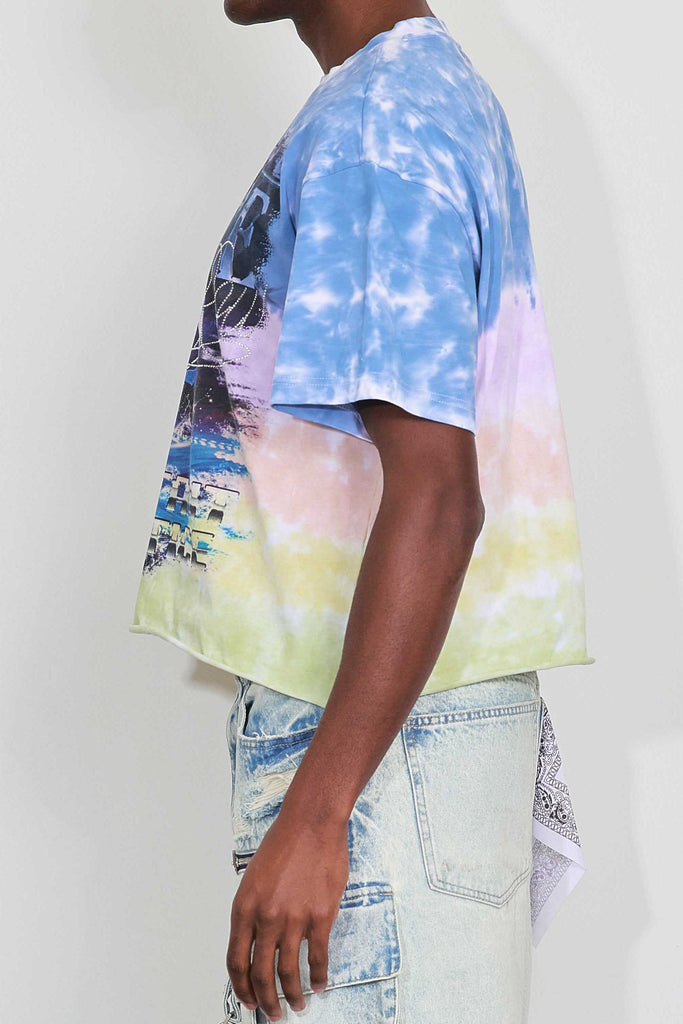 ART OF ESCAPE DOLPHINS CROPPED TEE